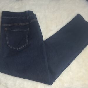 Lane Bryant Women's Dark Blue Stretch Jeans With Tummy Control